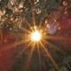 Illustration for article titled Shooting Challenge: Solstice
